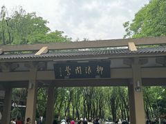 -柳浪闻莺公园