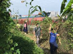 -樂桃源奉贤黄桃种植采摘基地