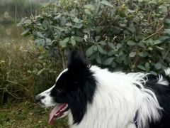 景点-白鹭湾湿地公园