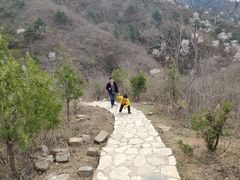 -蟠龙山长城景区