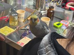 -隐工匠·银饰·烧玻璃DIY手工坊(蓝·芳华店)