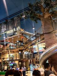 -卡通尼·Safari非洲探索乐园·生日会(金桥国际商业广场店)