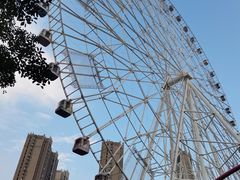 -弘阳·未来世界(弘阳广场店)