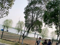 -漕湖湿地公园