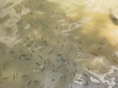-秦岭终南山世界地质公园翠华山景区