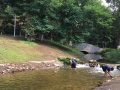 -长白岛森林公园