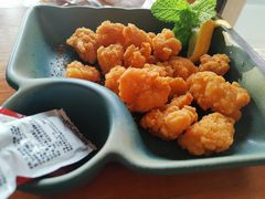 -柴犬高等学院·狗咖·柴犬售卖·宠物训练