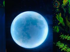 -天津梵高星空艺术馆(天河城旗舰店)