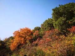 -北京西山国家森林公园