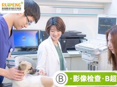 -瑞鹏宠物医院华南总院·夜诊·心脏科·骨科