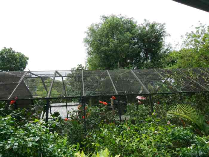 飞禽知识馆-"这个知识馆就在jurong飞禽公园里面,."-大众点评移动版