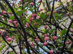 -上海浦西万怡酒店