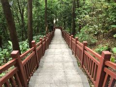 -南国桃园旅游度假区