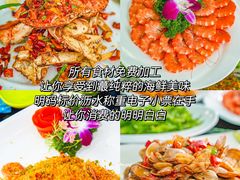 -椰梦长廊
