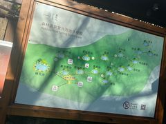 -宁海森林温泉