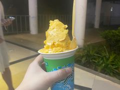 -老字号李姐炒冰(夏日百货店)