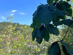 -大连冰峪旅游度假区