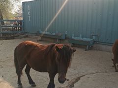 -酷鱼垂钓CLUB(朝阳区博大路店 )