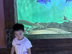 -太平洋海底世界