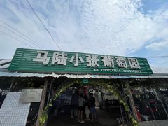 -马陆小张葡萄园农家乐