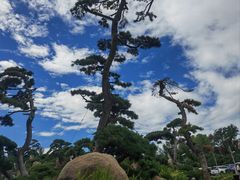 -罗红摄影艺术馆