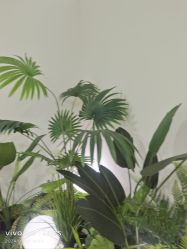 -HEYAN荷妍专业脱毛连锁机构