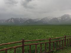 -新疆那拉提国家旅游度假区