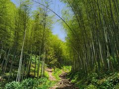 -五泄景区