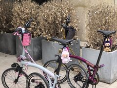 -2326 Coffee Roaster咖啡豆可选店(林肯公园店)