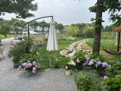 -DORA kids 朵拉儿童摄影花园店