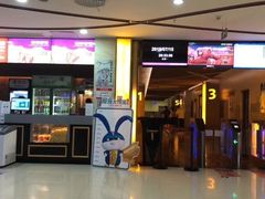 -龙之星国际影城(太平店)