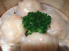 -南枝记