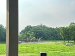 -宁波野生动物园