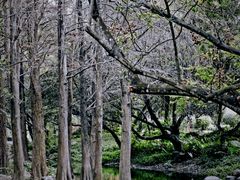 -人民公园(罗湖区)