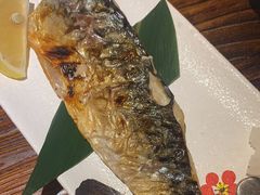 -鸟鹏烧鸟居酒屋(熙龙湾店)