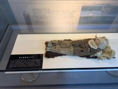 -巴音郭楞蒙古自治州博物馆