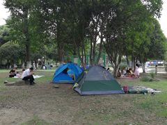 -昆山城市生态森林公园