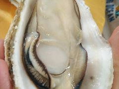 -蚝专家(北滘店)