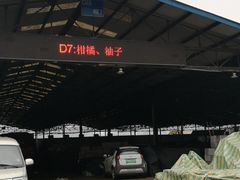 -菜园坝水果市场