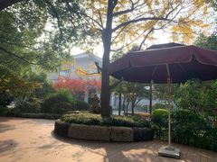 -浙江宾馆·花园餐厅·自助餐厅·茶吧