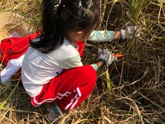 -迪茵湖田家舍生态农场