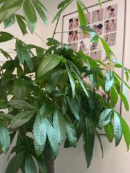 -蜜恋婚纱摄影·客片研发(苏州店)