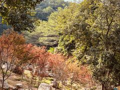 -广州市帽峰山景区