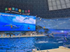 -泉城欧乐堡海洋极地世界