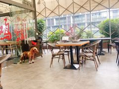 大堂-财神鸡煲(华强北店)