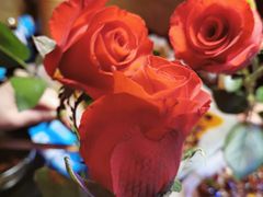 -醉小酒馆·川菜·江湖菜·重庆菜(观音桥旗舰店)