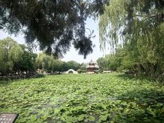 -莲池书院博物馆