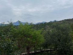 -白水寺森林公园