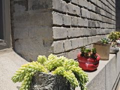 -庐灶江南·江南菜·四合院Bistro(东直门雍和宫·原华侨宾馆店)