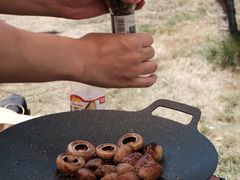 -楠溪江风景名胜区